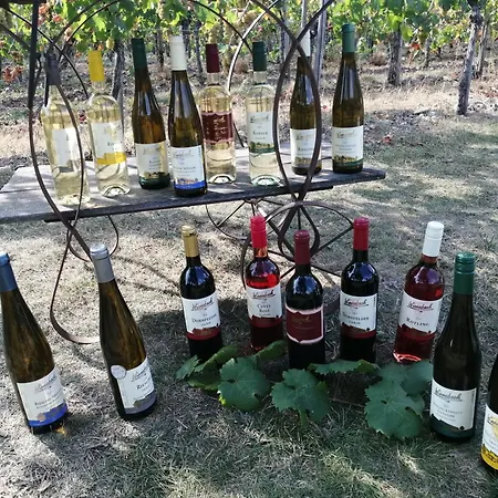 Ferienweingut Winnebeck Köwerich Exterior foto