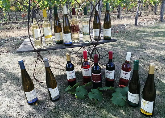 Ferienweingut Winnebeck