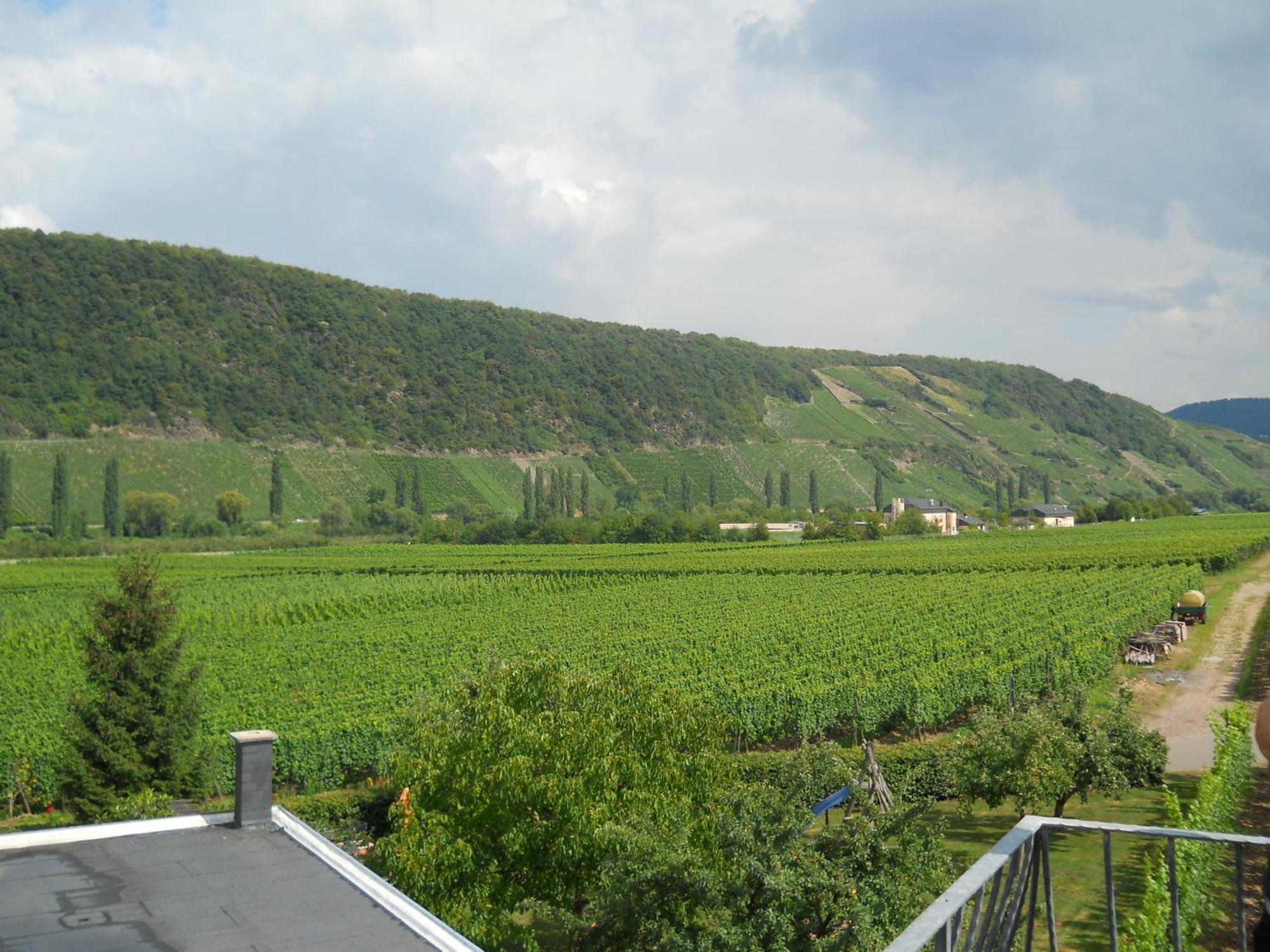 Ferienweingut Winnebeck * Köwerich