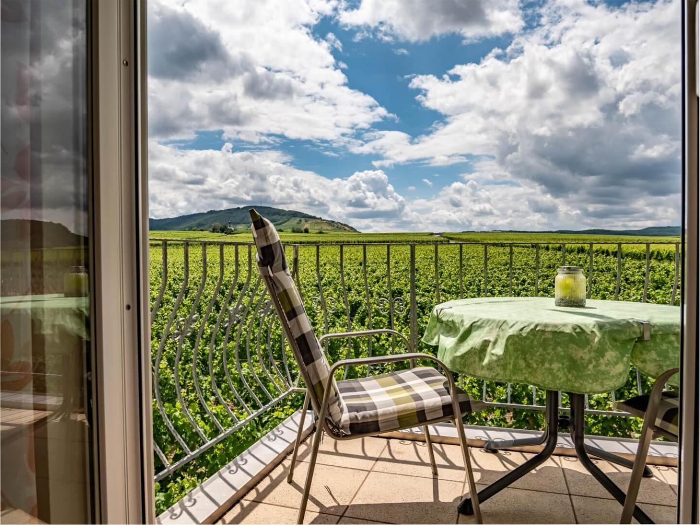 Ferienweingut Winnebeck Apartment