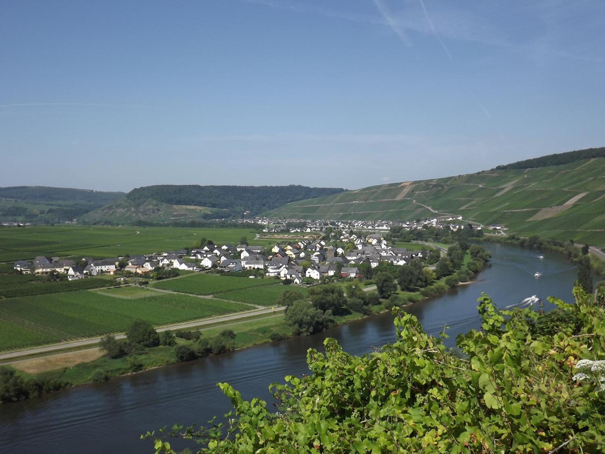 Apartment Ferienweingut Winnebeck Köwerich