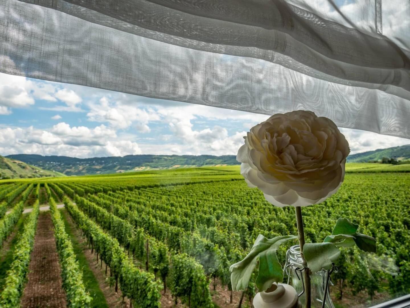 Ferienweingut Winnebeck * Köwerich