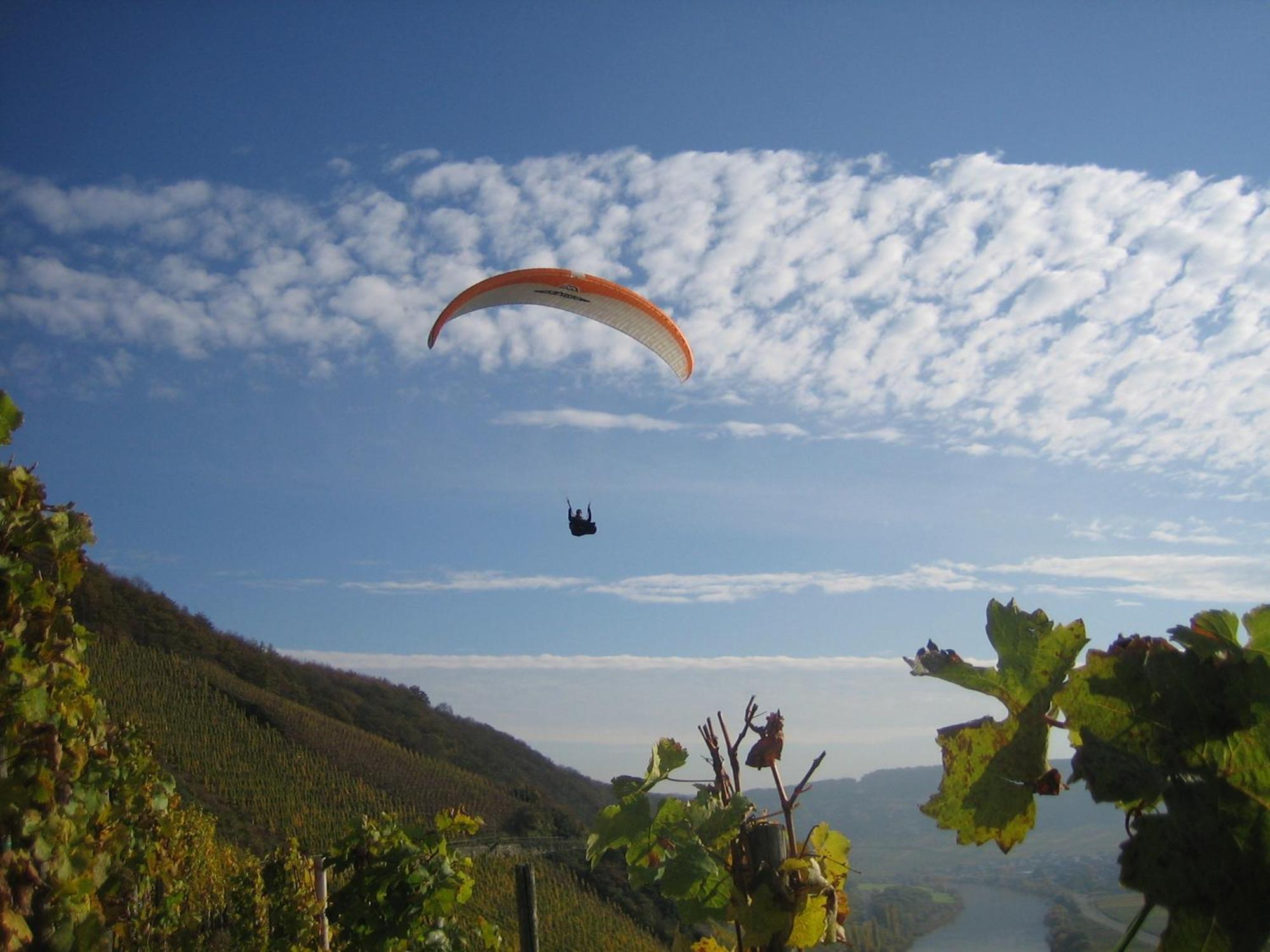 Ferienweingut Winnebeck